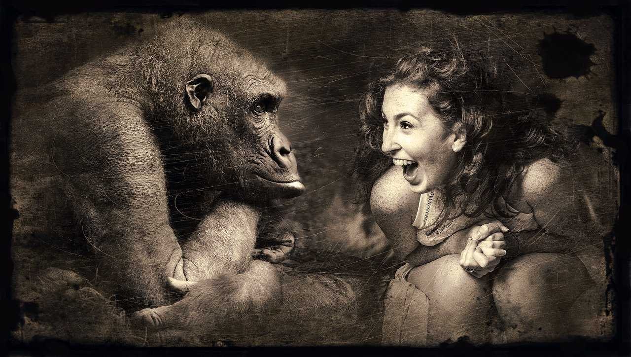 Funny quotes